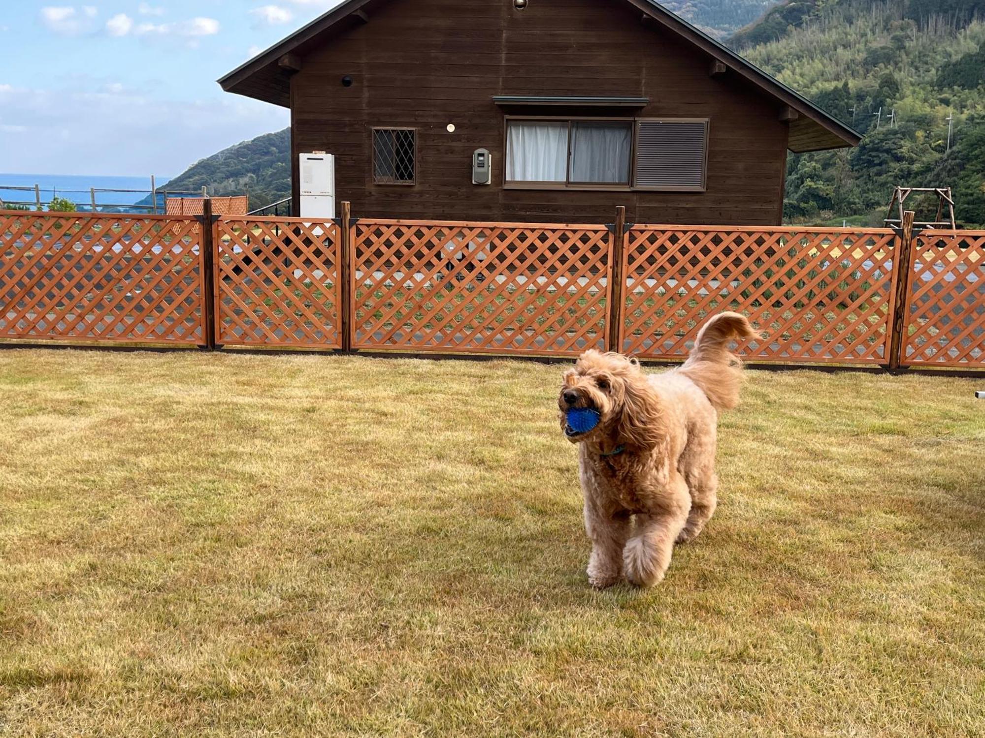 Villa 舞鶴 ふる a Ferm Cotergi à Maizuru Extérieur photo